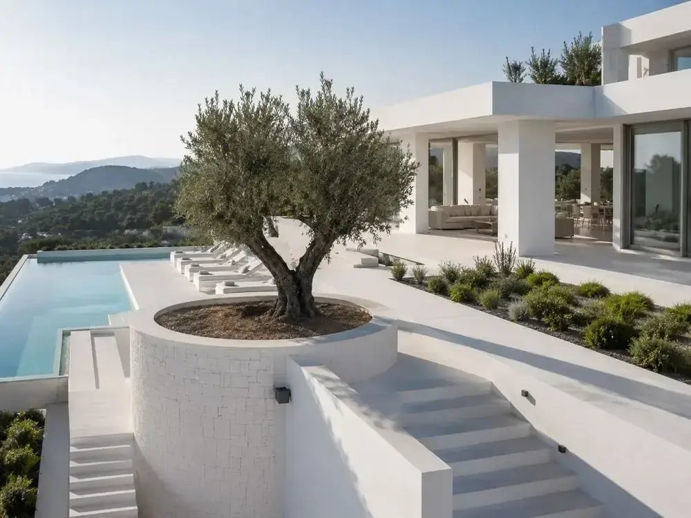 Terraza con olivo y piscina desbordante